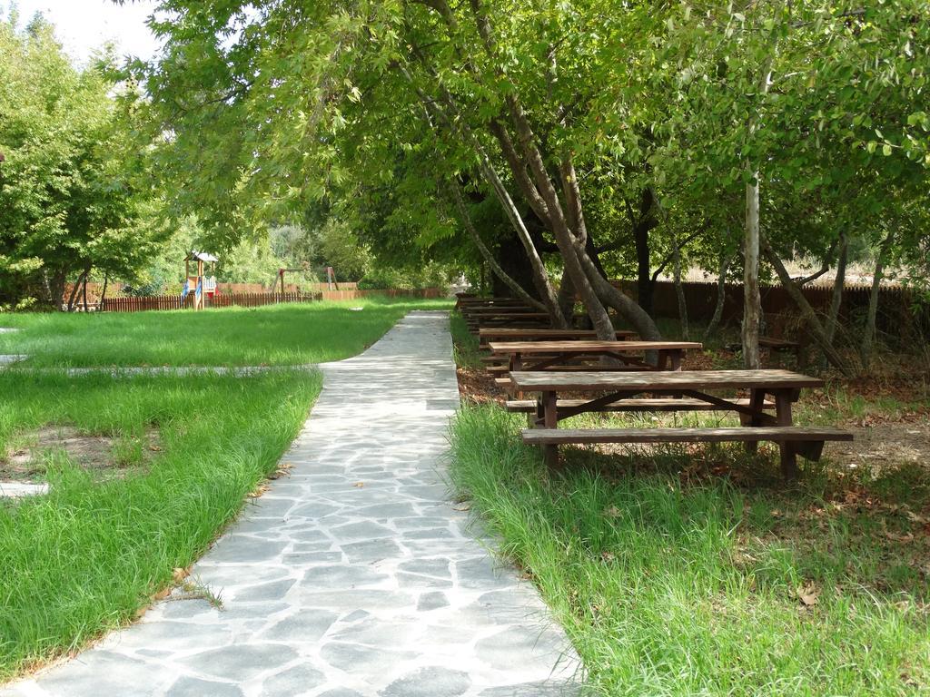 Palm Tree Oriental House And Homestay Polis Ngoại thất bức ảnh